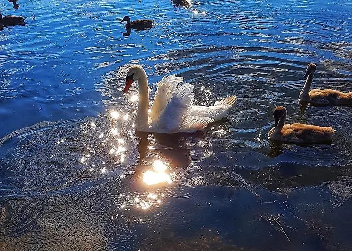 Przy Ratuszu * Boleslawiec (Lower Silesia)